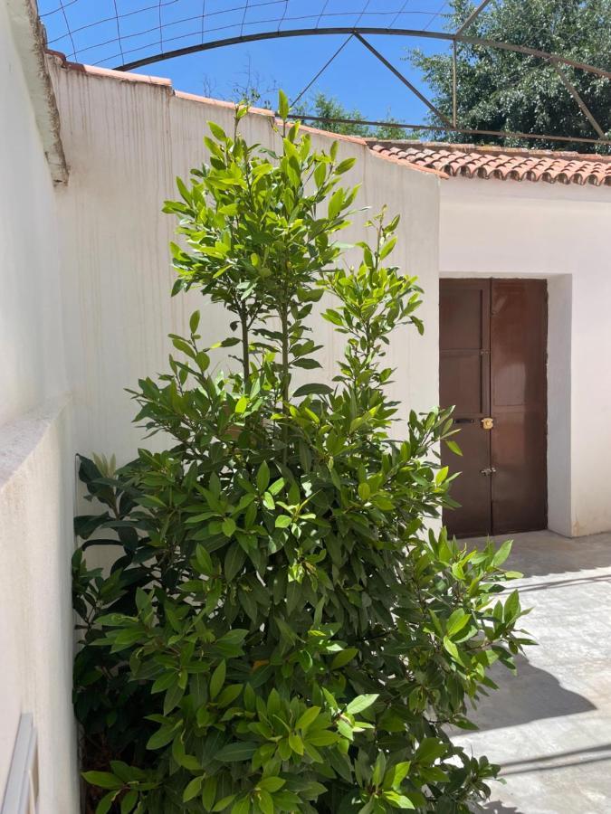 La Casita De San Nicolas Granada Exterior foto